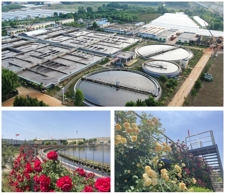 1715128886944847.png 微信截图_20240508084052.png