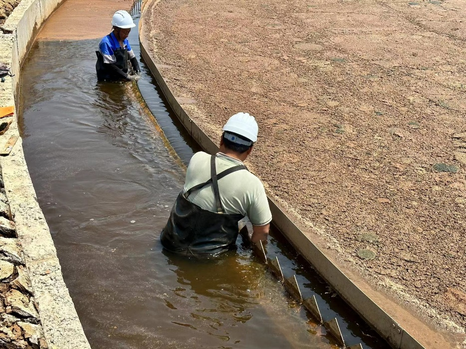 1719902089892698.png 4.png